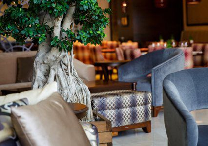 Grand Aras & Hotel